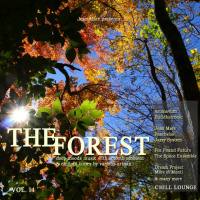 VA - The Forest Chill Lounge, Vol. 11 (Deep Moods Music with Smooth Ambient & Chillout Tunes) 2017 FLAC