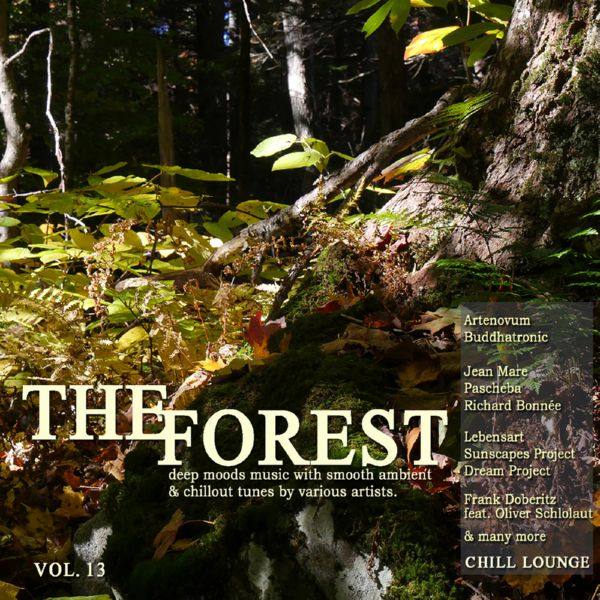 VA - The Forest Chill Lounge, Vol. 13 (Deep Moods Music with Smooth Ambient & Chillout Tunes) 2018 FLAC
