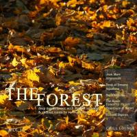 VA - The Forest Chill Lounge, Vol. 17 (Deep Moods Music with Smooth Ambient & Chillout Tunes) 2020 FLAC