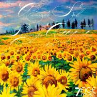 VA - Aimée Sol presents Lounge Attitudes, Vol. 2 2021 FLAC