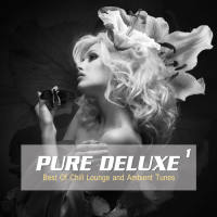 VA - Pure Deluxe, Vol. 1 (Best of Chill Lounge and Ambient Tunes) 2014 FLAC