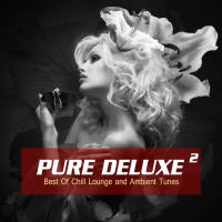 VA - Pure Deluxe, Vol. 2 (Best of Chill Lounge and Ambient Tunes) 2014 FLAC