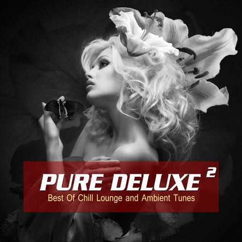 VA - Pure Deluxe, Vol. 2 (Best of Chill Lounge and Ambient Tunes) 2014 FLAC