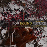 For Found Future - 2016 - Ambient Story (An Electronic Downbeat Journey from Chill to Lounge) [FLAC]