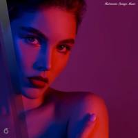 VA - Harmonic Lounge Music (2022) [FLAC]