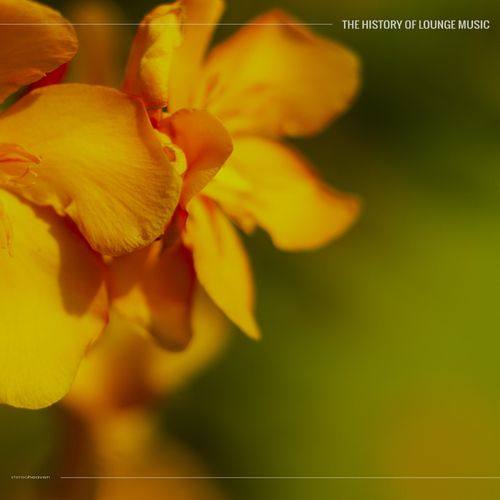 VA - The History of Lounge Music (2021) [FLAC]