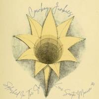 Cowboy Junkies - Splashed In The Sky (Live Santa Monica '90) (2022) FLAC