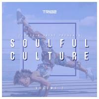 Various Artists - Zepherin Saint Presents Soulful Culture, Vol. 2 2021 FLAC