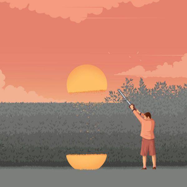 Slow Meadow - Happy Occident (2019)