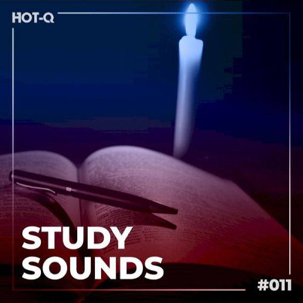 VA - Study Sounds 011 2021 FLAC