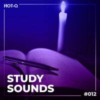VA - Study Sounds 012 2021 FLAC