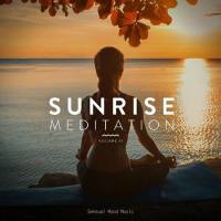 VA - Sunrise Meditation, Vol. 11 2022 FLAC