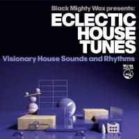 Various Artists - Black Mighty Wax - Eclectic House Tunes (Visionary House Sounds and Rhythms) 2022 FLAC