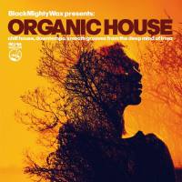 Various Artists - Black Mighty Wax - Organic House 2020 FLAC