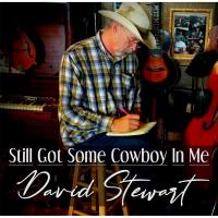 David Stewart - Still Got Some Cowboy In Me (2022) HD