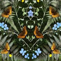 Jean-Michel Blais - aubades 2022 Hi-Res