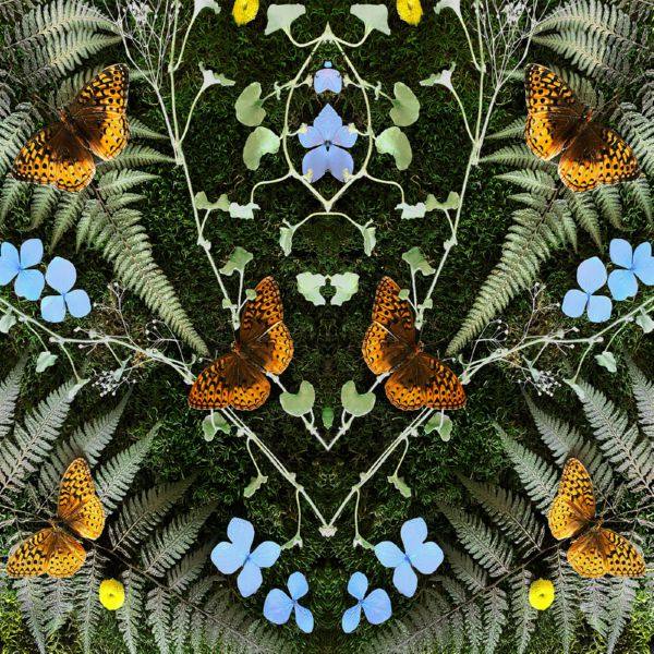 Jean-Michel Blais - aubades  2022 Hi-Res