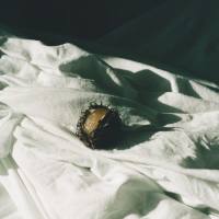 MYMK - Crack A Light 24-44.1 2022