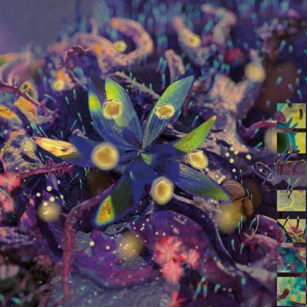 Christian Coiffure - Christian Coiffure 2022 Hi-Res