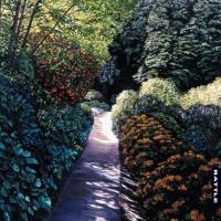 David Long - Ash and Bone 24-48 2022 FLAC