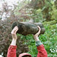 Sfven - forest avenue  2022 FLAC