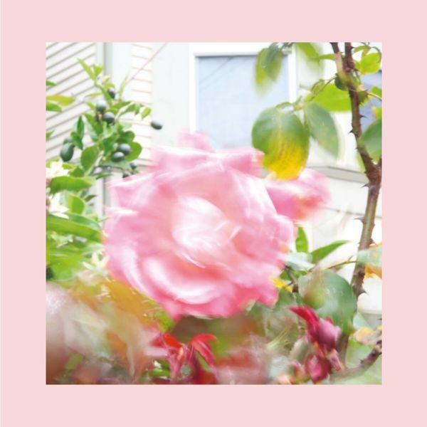 The Reds, Pinks and Purples - Summer at Land's End  2022 FLAC