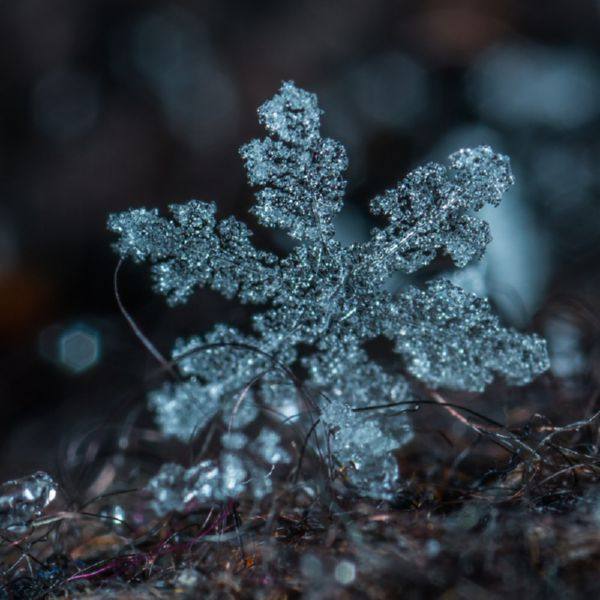 Deep Sleep Music Delta Binaural 432 Hz - #1 Relaxing Holiday Music Christmas 2018 Compilation (2018)