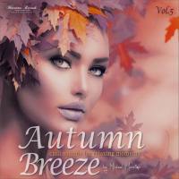 VA - Autumn Breeze Vol. 5 - Chill Sounds for Relaxing Moments 2021 FLAC