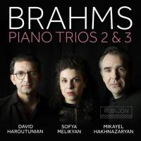 David Haroutunian, Mikayel Hakhnazaryan - Brahms Piano Trios 2 & 3 (2021) [Hi-Res]