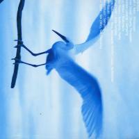 Keiko Matsui - Glances Of The Past 2001 FLAC