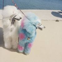 Exek - Advertise Here 2022 FLAC