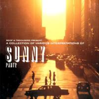 Various Artists - A Collection of Various Interpretations of Sunny, Part 2 (2002) [CD FLAC]