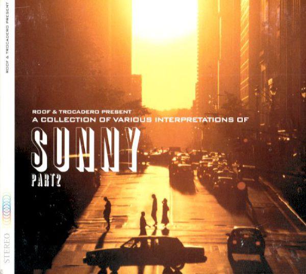 Various Artists - A Collection of Various Interpretations of Sunny, Part 2 (2002) [CD FLAC]