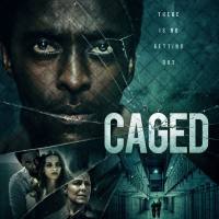 CJ Johnson - Caged (Original Soundtrack) 24-44.1  2022 FLAC