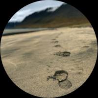 VA - MOACDX 2022 Hi-Res