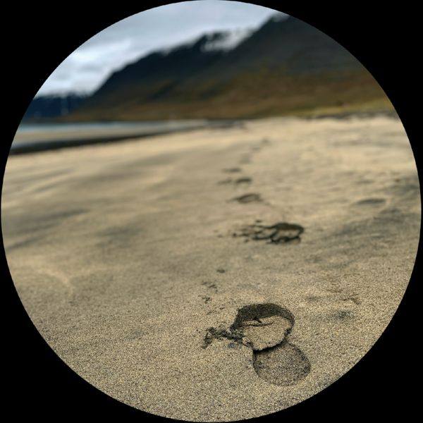 VA - MOACDX 2022 Hi-Res