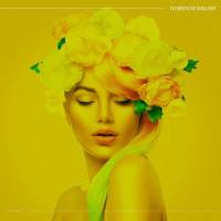 VA - Flowers of Chillout (2022) [FLAC]