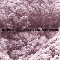 Trentem?ller - Into the Great Wide Yonder (2010) [Hi-Res 24Bit]