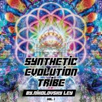 VA - Synthetic Evolution Tribe Vol?.?1 (2020) FLAC