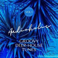 VA - Audioholic (Groovy Deep-House Tunes), Vol. 1 (2022) [FLAC]