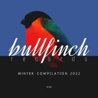 VA - Bullfinch Winter 2022 Compilation [Bullfinch] FLAC-2022