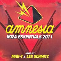 VA - Amnesia Ibiza Essentials  2011 (2011) (Flac)