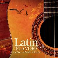 VA - Latin Flavors, Vol. 2 (Latin Balearic Music) 2016 FLAC