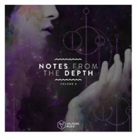VA - Notes From The Depth Vol 08-2020 FLAC