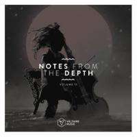 VA - Notes From The Depth Vol 11-2020 FLAC