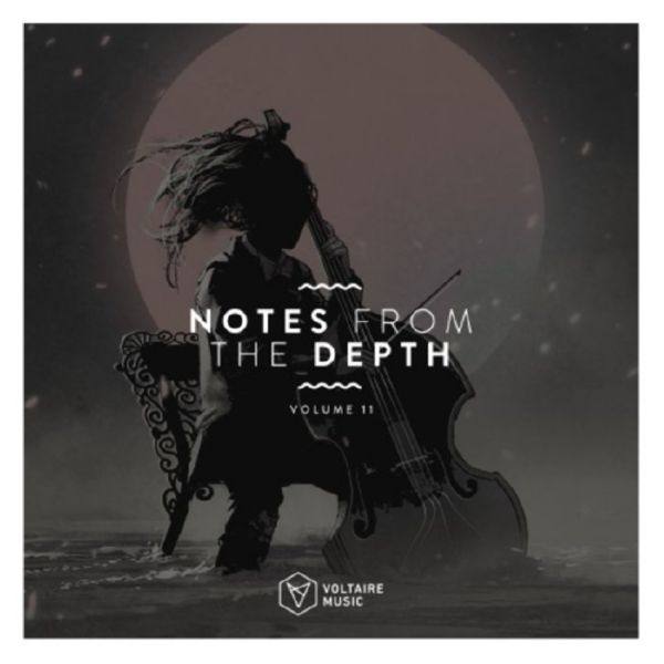 VA - Notes From The Depth Vol 11-2020 FLAC