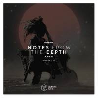 VA - Notes From The Depth Vol 12-2020 FLAC