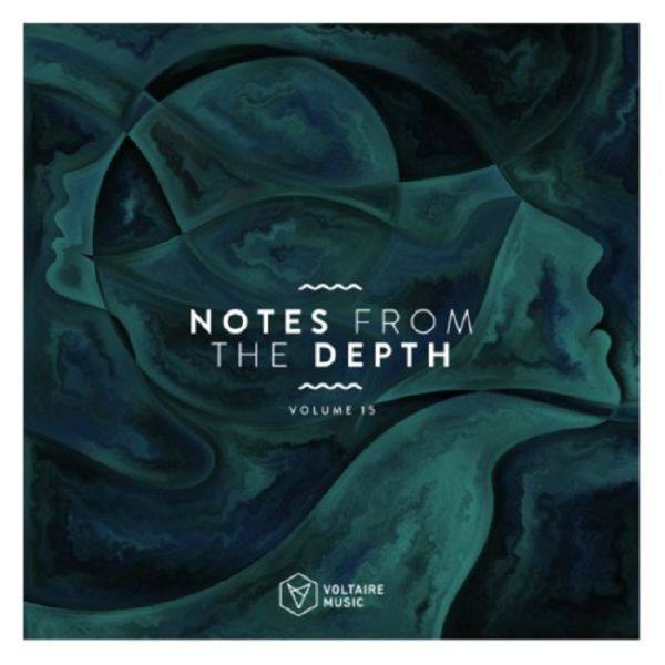 VA - Notes From The Depth Vol 15-2021 FLAC