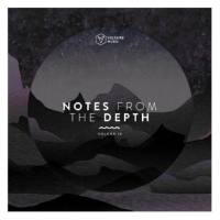 VA - Notes From The Depth Vol 16-2021 FLAC