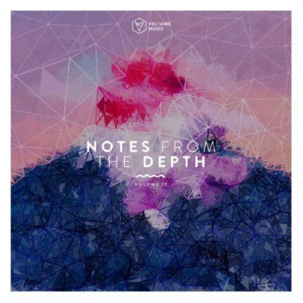 VA - Notes From The Depth Vol 17-2021 FLAC
